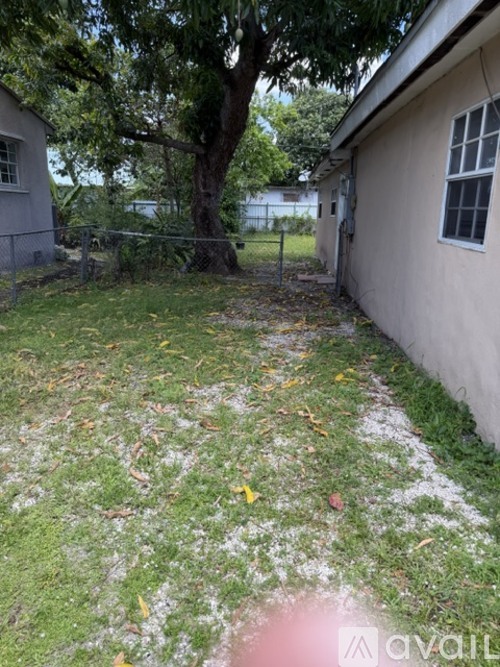 A backyard with a fence and a tree.
