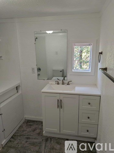 107 Rising Star Trail 3 Beds Apartment for Rent