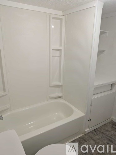 107 Rising Star Trail 3 Beds Single Family Home for Rent - Photo gallery 3