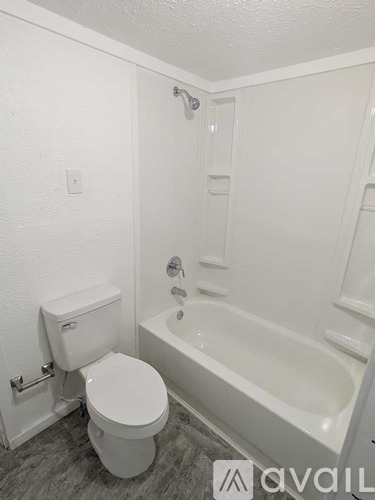 107 Rising Star Trail 3 Beds Single Family Home for Rent - Photo gallery 4