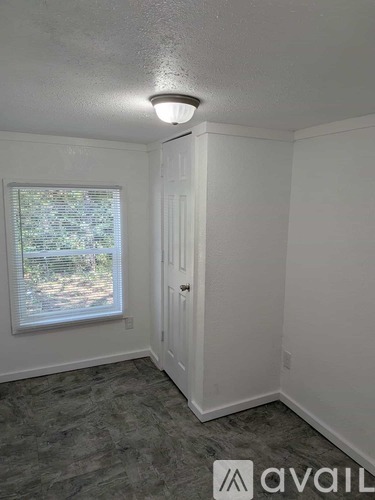 107 Rising Star Trail 3 Beds Single Family Home for Rent - Photo gallery 5