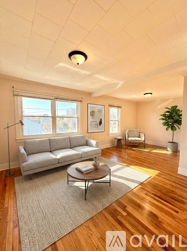 A living room with a grey sofa, a coffee table, and a plant.