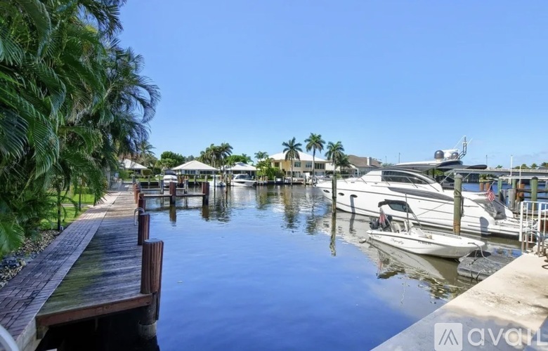 A dock with boats and palm trees in the background.