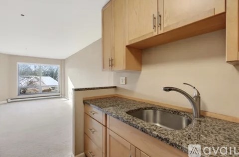 A kitchen with a granite countertop and a window showing a snowy landscape outside.