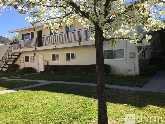 A tree with white flowers is in front of a two-story house.