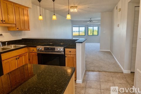 A kitchen with wooden cabinets and black countertops.
