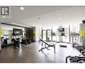A gym with a variety of equipment including treadmills, weights, and a television.