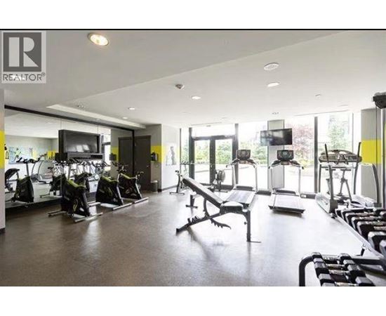 A gym with a variety of equipment including treadmills, weights, and a television.