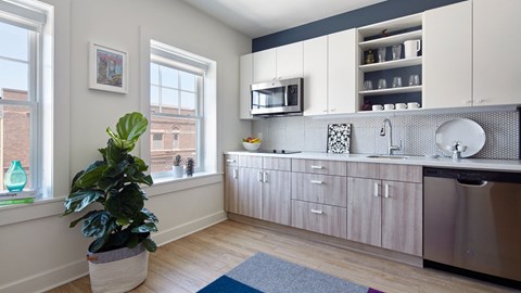 A kitchen with a sink, a window, and a potted plant.
