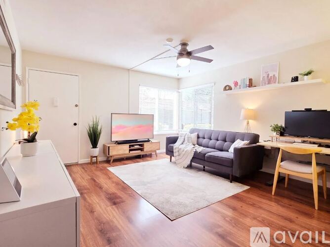A living room with a grey sofa, a television, a flat screen monitor, a ceiling fan, and a rug.