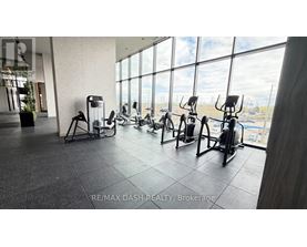 A gym with a row of exercise bikes and a potted plant.