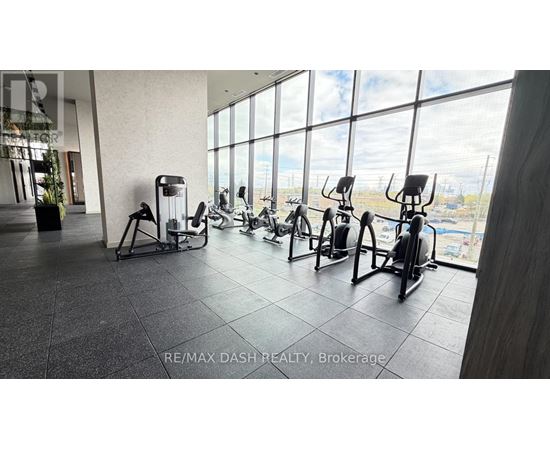 A gym with a row of exercise bikes and a potted plant.