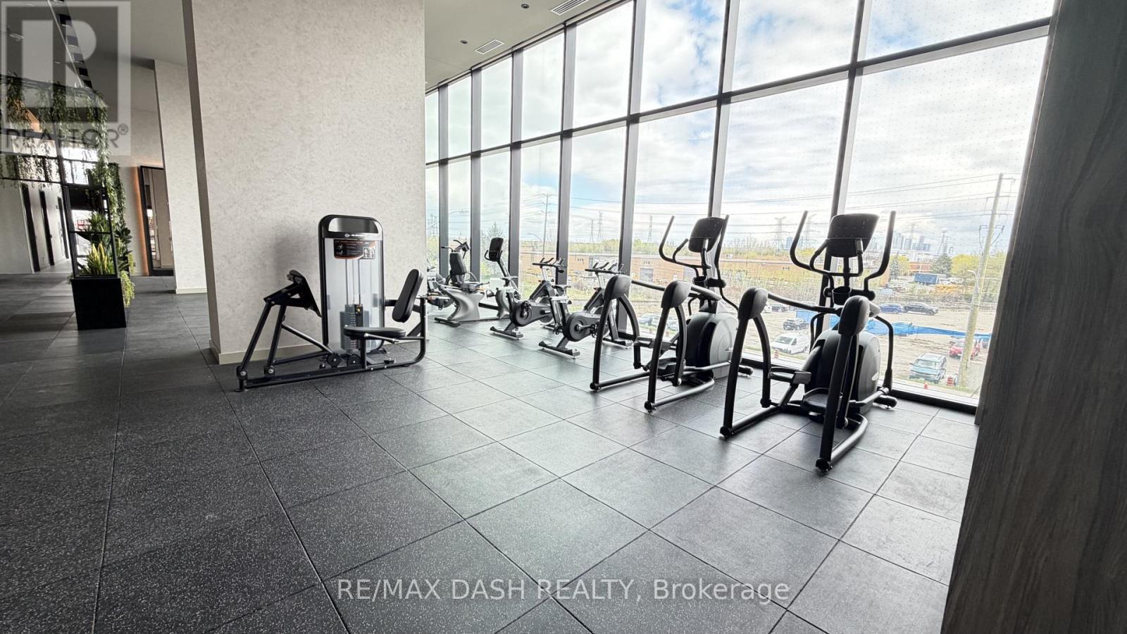 A gym with a row of exercise bikes and a potted plant.