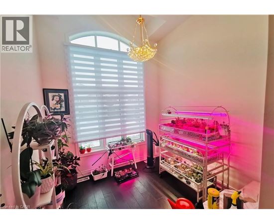 A room with a chandelier, a shelf with plants, and a grow light.
