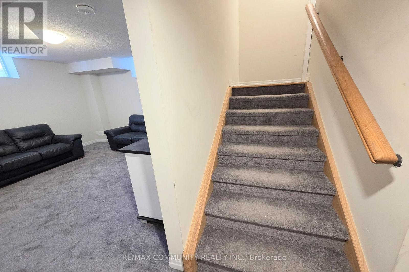 BASEMENT - 50 NORTHROP AVENUE 1 House for Rent - Photo gallery 4