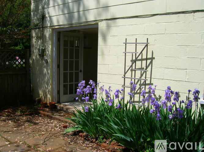 A white wall with a door and a flower bed in front.
