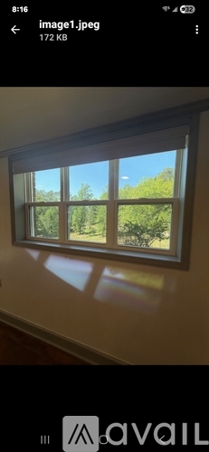 A window with a view of trees outside.