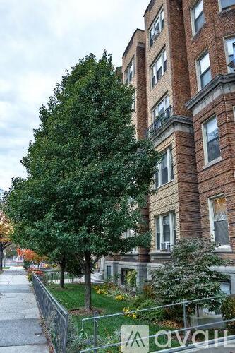 A tree in front of a brick building with a sign that says "avail".