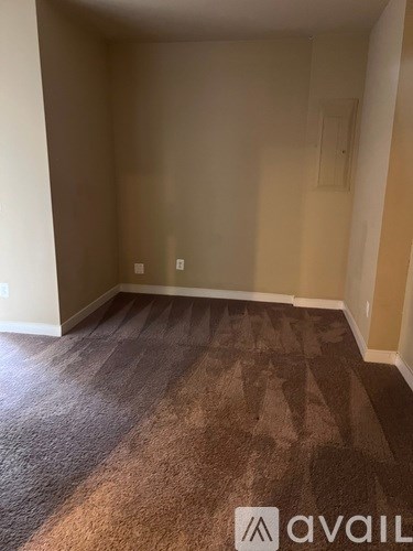 A room with a carpeted floor and a wall socket.