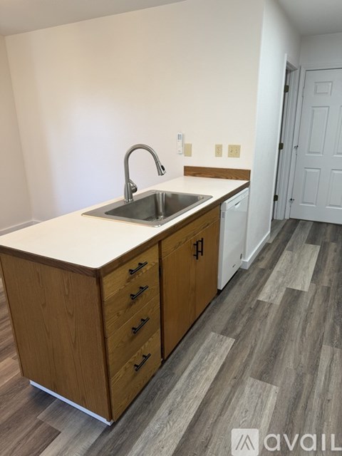 A kitchen with a sink and wooden cabinets.