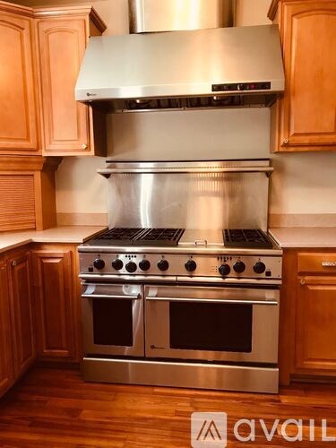 A stainless steel range hood is above a stainless steel oven with four burners and two oven doors.