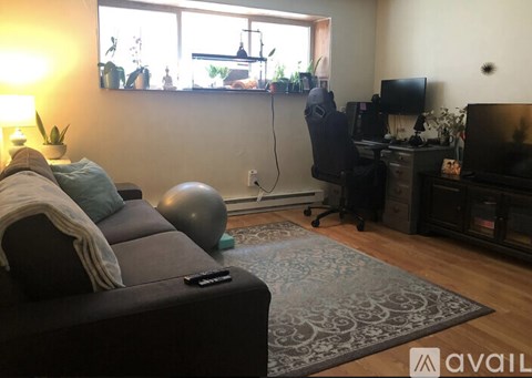 A living room with a grey couch and a television.