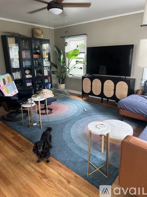 A black dog is standing on a rug in a living room.