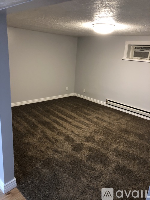 A room with a carpeted floor and a window.