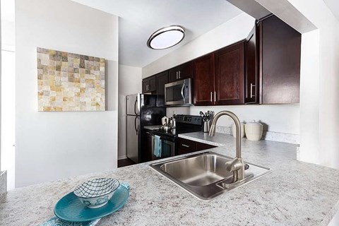 A kitchen with a sink and a blue plate on the counter.