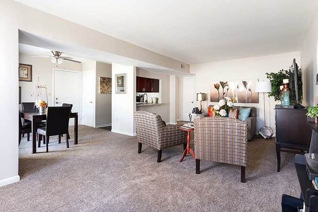 1-bedroom apartment at Mulberry Station Apartments in Harrisburg, PA