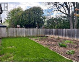 A backyard with a wooden fence and a green lawn.