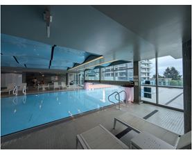 A large indoor swimming pool with a glass wall on one side.