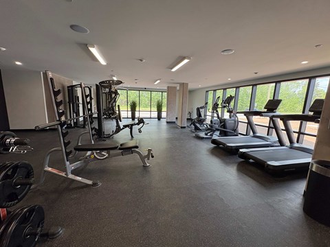 A spacious gym with various exercise equipment and a view of greenery outside the windows.