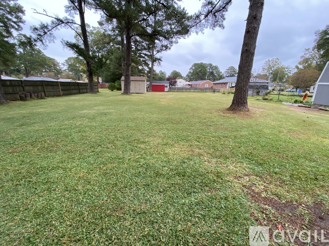 A grassy field with a tree in the middle and a fence in the background.