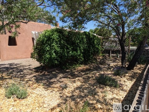 A garden with a tree, a fence and a building in the background.