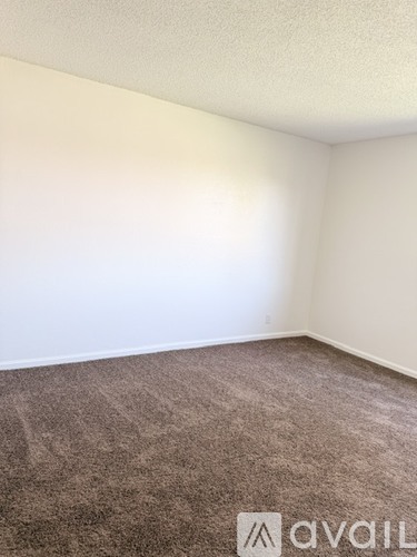 A room with a carpeted floor and a white wall.