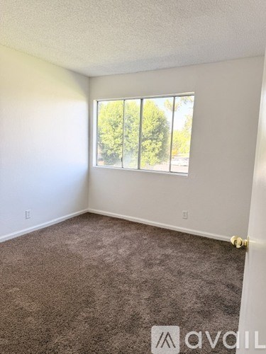 A room with a carpeted floor and a window showing trees outside.