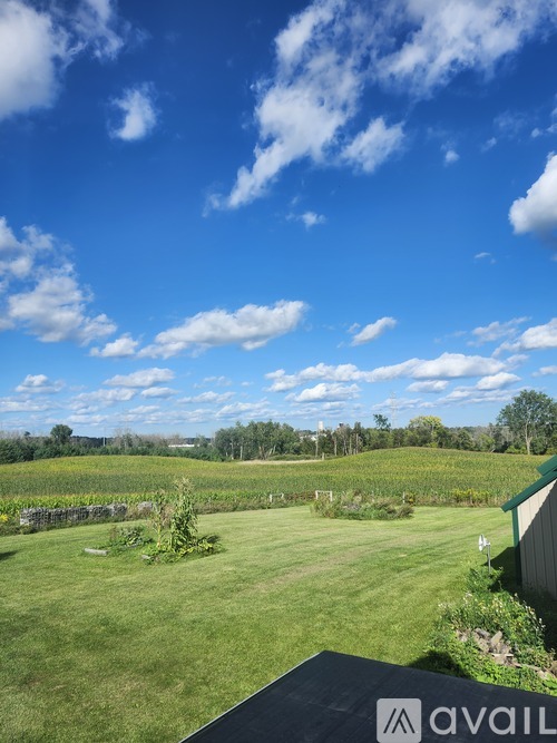 A grassy field with a few scattered bushes and a cloudy sky.