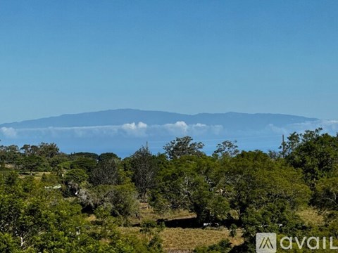 A landscape with trees and a mountain in the distance.