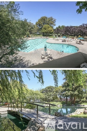A pool surrounded by trees and a deck with chairs.