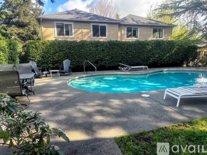 A pool surrounded by a concrete patio and a hedge.