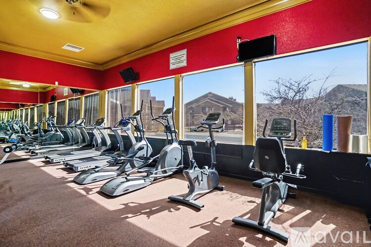 A row of exercise bikes are lined up in a gym with a red wall and a window showing a view of houses.