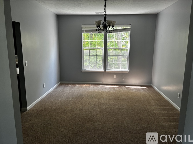 A room with a carpeted floor and a window with a view of trees.
