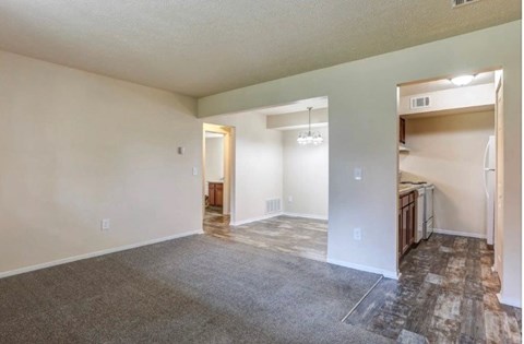 A large, empty room with a grey carpet and white walls.