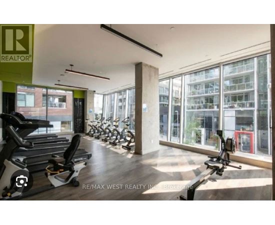 A gym with treadmills and exercise bikes is shown.