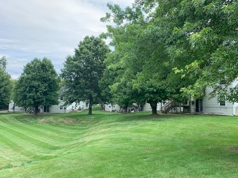 A green lawn with trees and a house in the background.