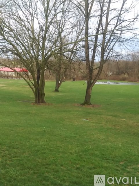 Two trees in a grassy field with a red building in the background.