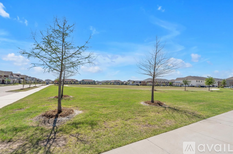A grassy field with two trees and a clear sky.