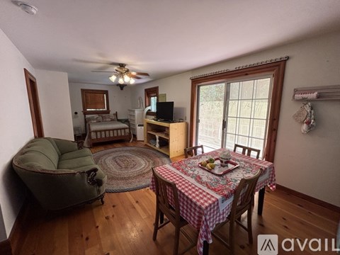 A living room with a green sofa, a bed, a television, and a dining table with chairs.
