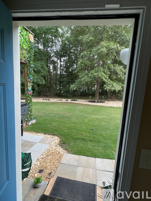 A view of a backyard from a doorway.
